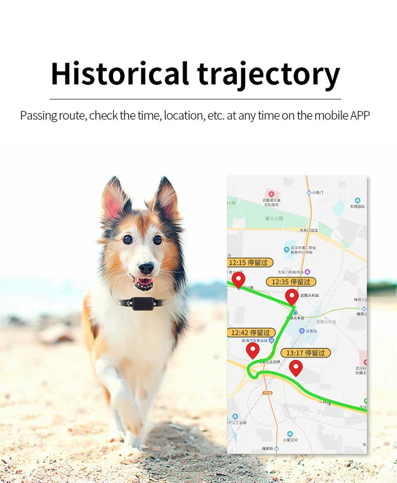 Waterproof Pet GPS Tracker, Location Adjustable Collar, Real-Time Call, Remote Control GPS Locator for Cats and Dogs, GSM, AGPS,